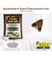 Chipku Pheromone Funnel Trap with Spodoptera Litura Lure (Combo Pack of 10)